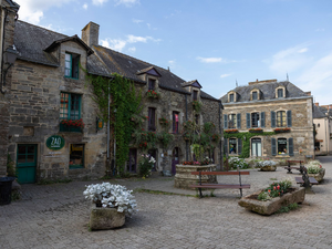 Vidange fosse septique Beaupréau-en-Mauges
